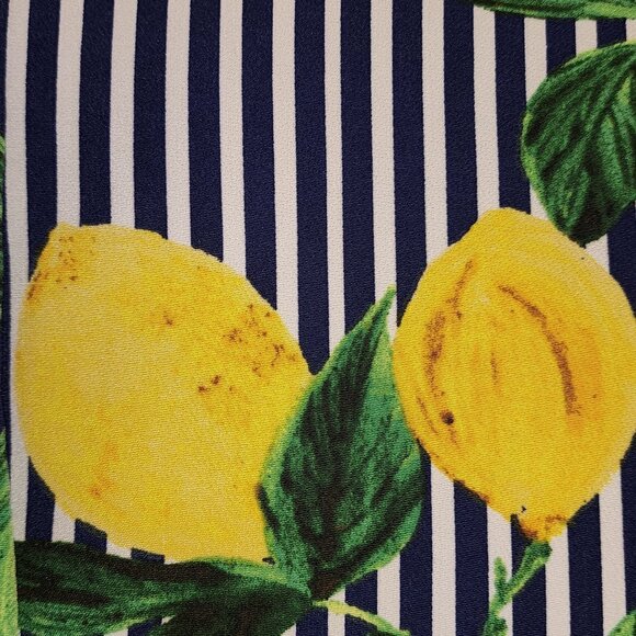 ROZ and Ali Women's Life and Lemons Print Blazer Jacket Striped Size L - Picture 5 of 8